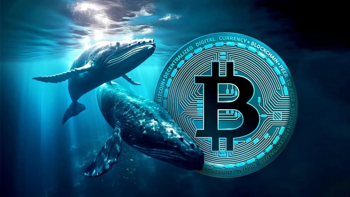 Bitcoin price slide imminent - Whales sell 147000 BTC