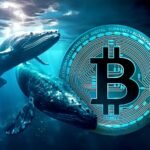Bitcoin price slide imminent - Whales sell 147000 BTC