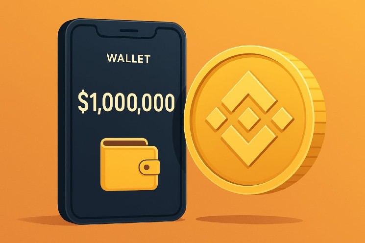 Becoming a millionaire with $1,000 - Early BNB investor makes 1,000x profit