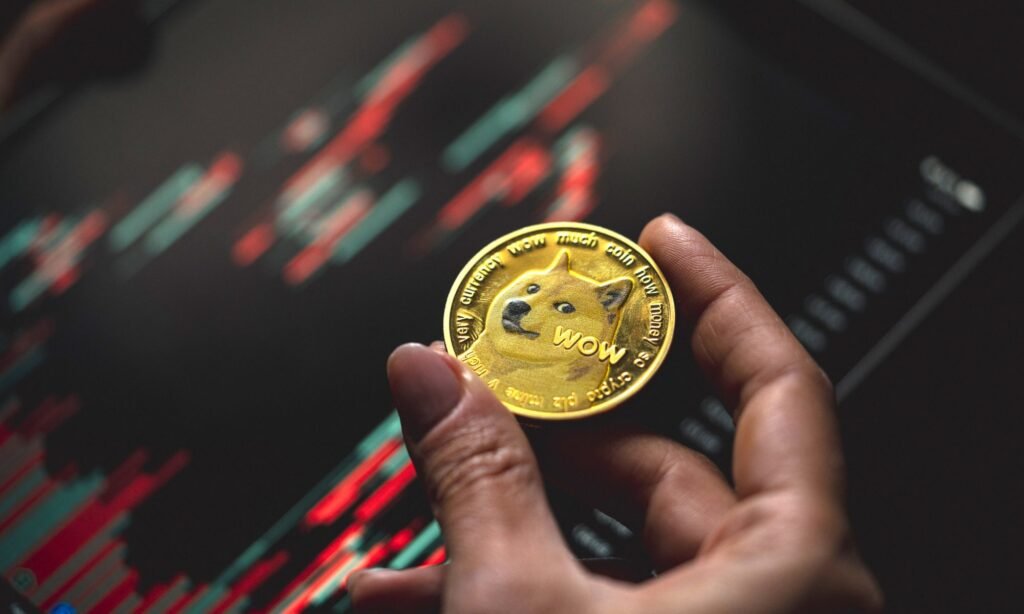 CleanCore now manages 500 million DOGE – and still doesn’t have enough