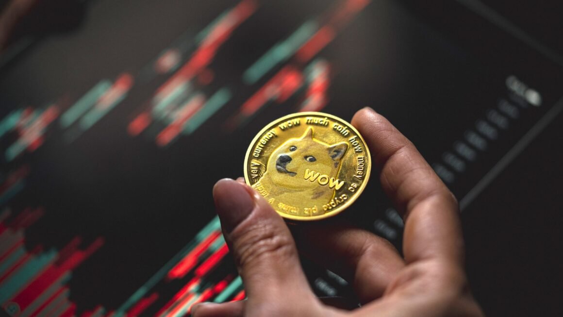 CleanCore now manages 500 million DOGE – and still doesn’t have enough