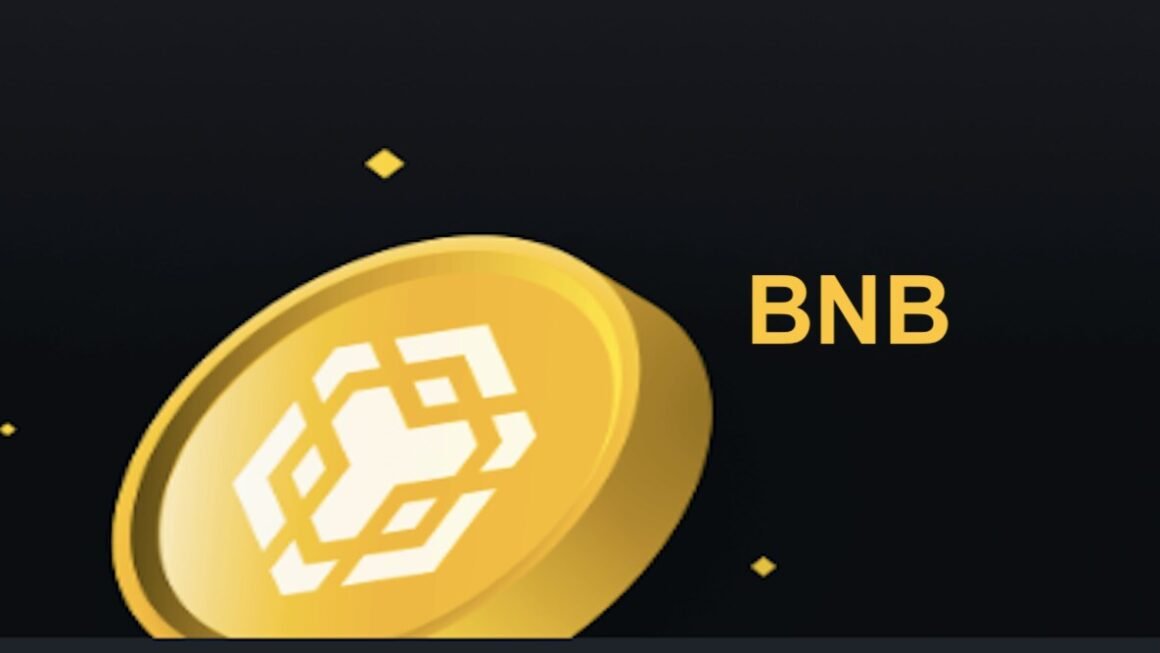 Price gains on the crypto market - BNB hits new record high